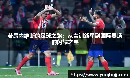 若昂内维斯的足球之路：从青训新星到国际赛场的闪耀之星